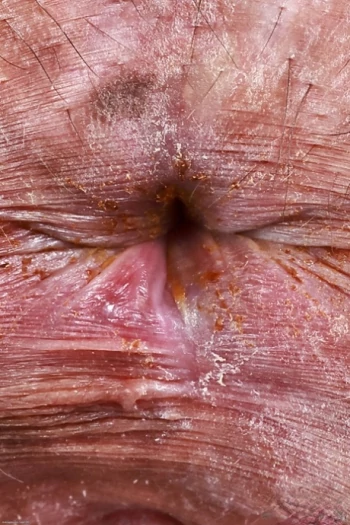 قناة Ameena Green